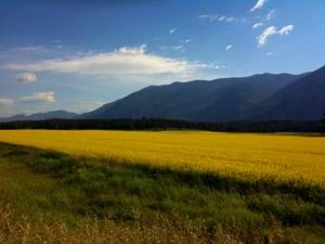 Picture provided by B7C 01/06/2025