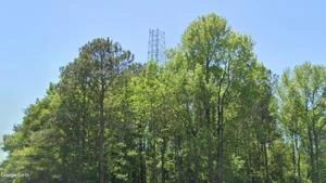 Picture provided by B7C 01/01/2025