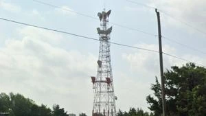 Picture provided by B7C 07/11/2024