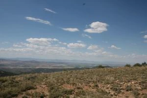 Picture provided by B7C 03/08/2023