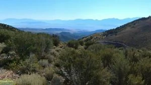 Picture provided by B7C 12/25/2024