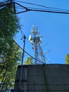 Picture provided by NTN 10/29/2022