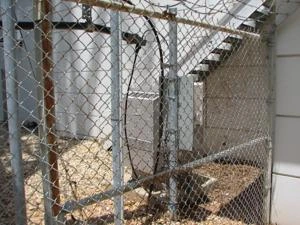 Picture provided by Garden City in 2008 before being torn down 03/03/2025