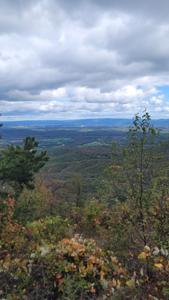Picture provided by WVPT 10/19/2023