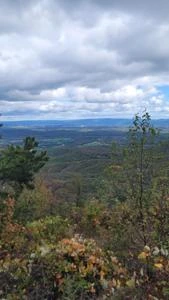 Picture provided by WVPT 10/19/2023