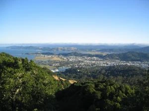 Picture provided by B7C 03/11/2023