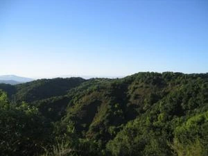 Picture provided by B7C 03/11/2023