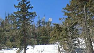 Picture provided by B7C 01/05/2025