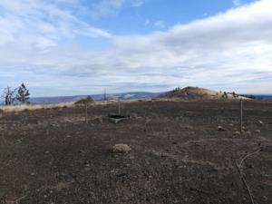 Goldendale, Washington