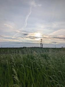 Picture provided by Melamineengineer 06/01/2026