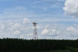 Picture provided by Kenny Ambrose, July 2019 03/10/2024