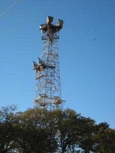 Picture provided by B7C 12/27/2024