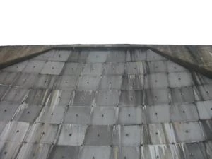 Picture provided by B7C 10/19/2022