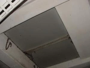 Picture provided by B7C 03/11/2023