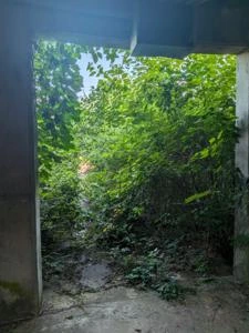 Picture provided by Melamineengineer 07/28/2026