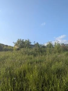 Picture provided by Melamineengineer 07/28/2026