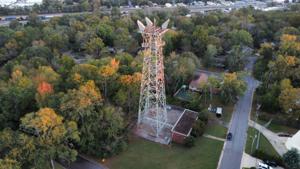 Picture provided by Joshua M 12/06/2024