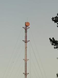 Pocataligo, Georgia