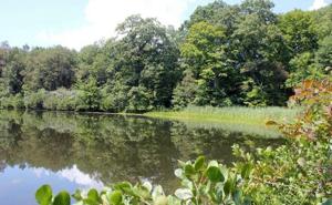 Picture provided by B7C 04/08/2023