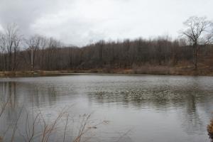 Picture provided by B7C 04/08/2023