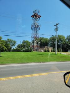 Picture provided by Tyler Durden 08/19/2023