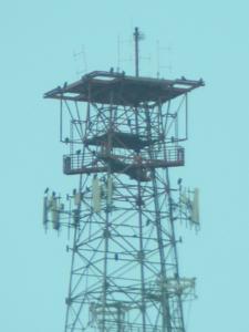 Picture provided by Austin C. 09/19/2025