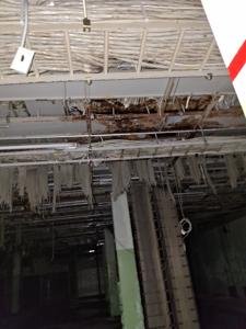 Picture provided by PennsylvaniaMan 12/20/2025