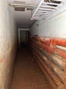 Picture provided by PennsylvaniaMan 12/20/2025