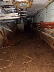 Picture provided by PennsylvaniaMan 12/20/2025