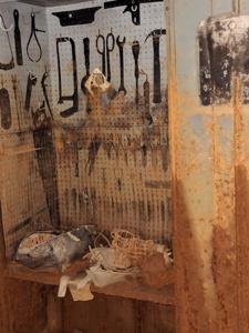 Picture provided by PennsylvaniaMan 12/20/2025