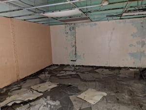 Picture provided by PennsylvaniaMan 12/20/2025