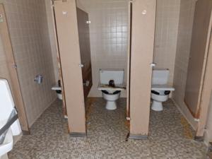 Picture provided by PennsylvaniaMan 12/20/2025