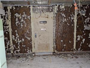 Picture provided by PennsylvaniaMan 12/20/2025