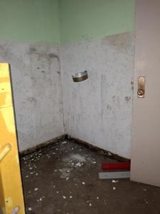 Picture provided by PennsylvaniaMan 12/20/2025