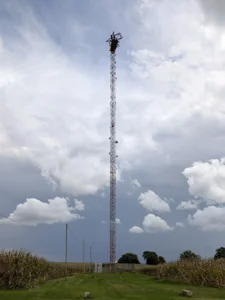 ASHTON IL, Illinois