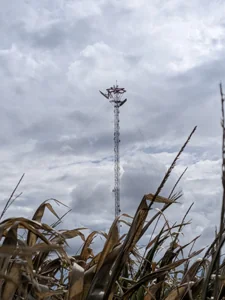 ASHTON IL, Illinois