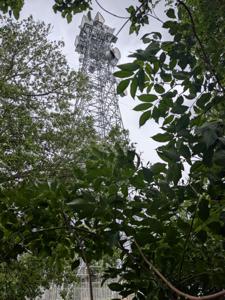 Picture provided by Melamineengineer 05/19/2026