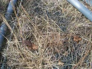 Picture provided by B7C 03/10/2023
