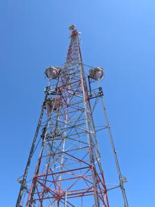 Picture provided by Melam 04/22/2026