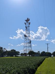 Lostant, Illinois