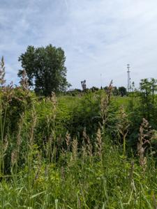 SUBLETTE IL, Illinois