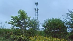Picture provided by B7C 07/29/2024