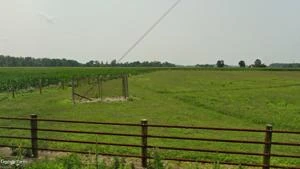Picture provided by B7C 01/16/2025