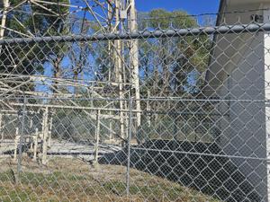 Picture provided by Eric Enneking  10/10/2025