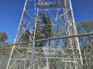 Picture provided by Eric Enneking  10/10/2025