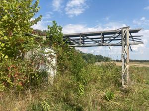 Picture provided by Joe Rambo 09/20/2025
