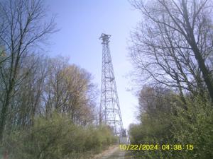 DANSVILLE MI, Michigan