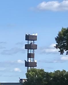 PLYMOUTH MO, Minnesota