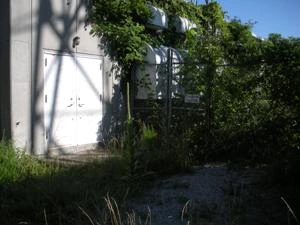 Picture provided by Clark Vance 09/02/2022