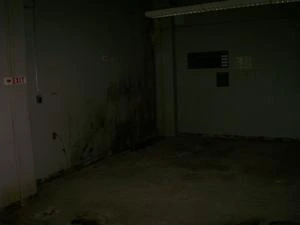 Picture provided by B7C 03/08/2023